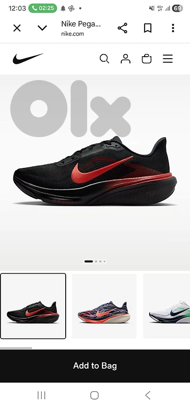 Nike pegasus