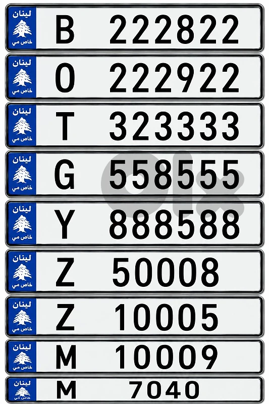 VIP CAR PLATES