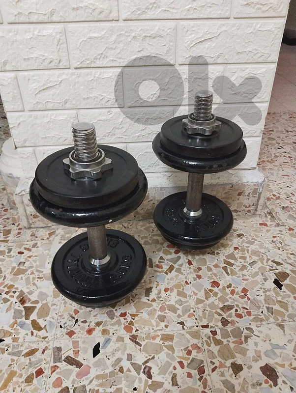 Iron Dumbbell  15 kg