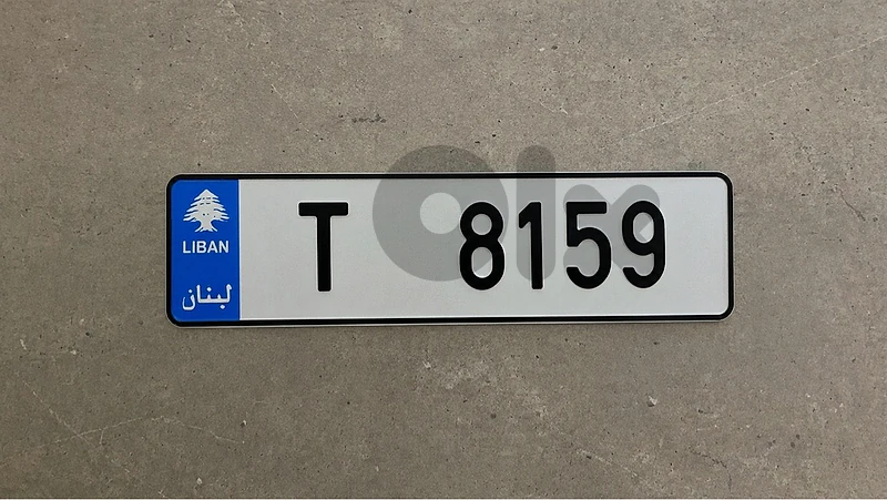 T  8159