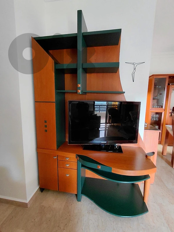 Tv cabinet + Tv