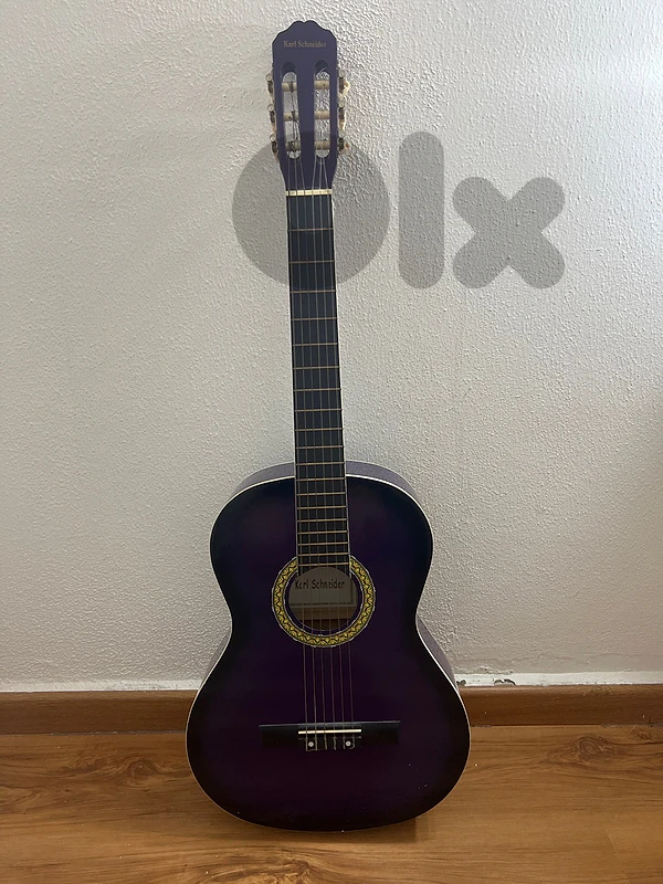 Guitar acoustic karl schneider
