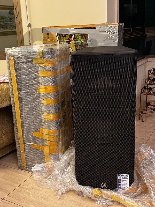 2 Yamaha DSR215 speakers