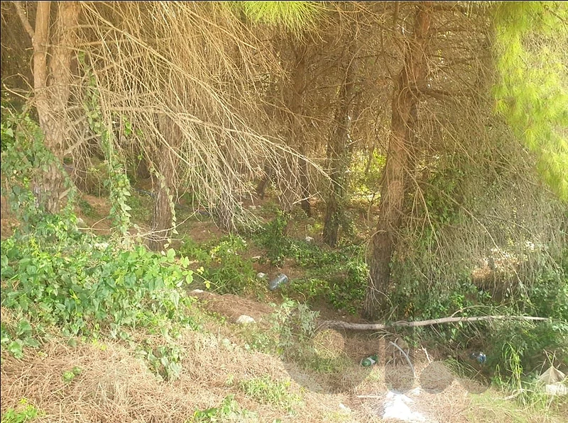 18700m2 Land for sale in Awkar,Metn