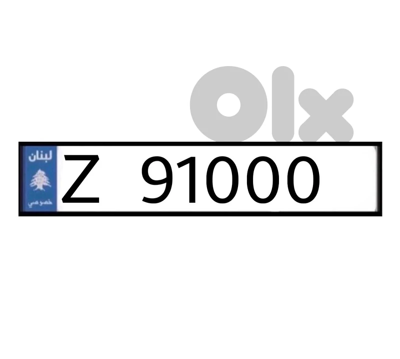 Z   91000