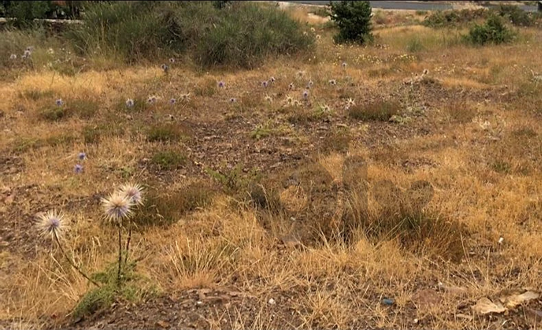 500m2 Land for sale in Zaarour,Metn