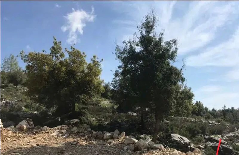 7400m2 Land for sale in meshmesh,jbeil