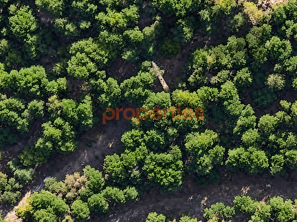 Land For Sale In Naccache - CPDR46