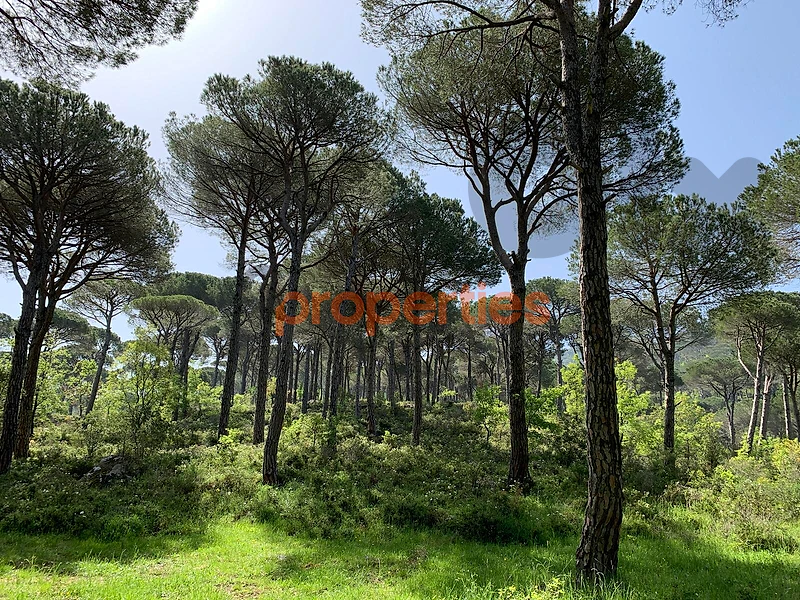 Land For Sale In Mrouj - CPDR47 Land For Sale In Mrouj - CPDR47