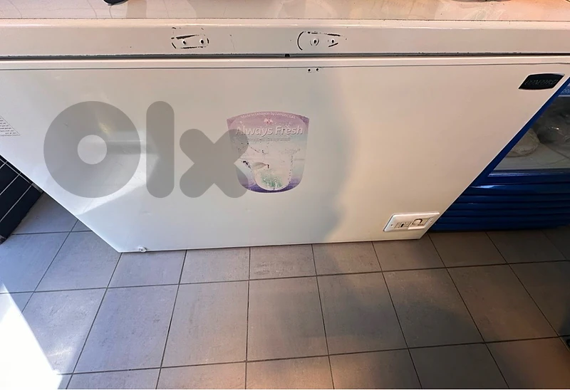 Concord Chest Freezer - Excellent Condition / Heavy Duty / Novox Glass