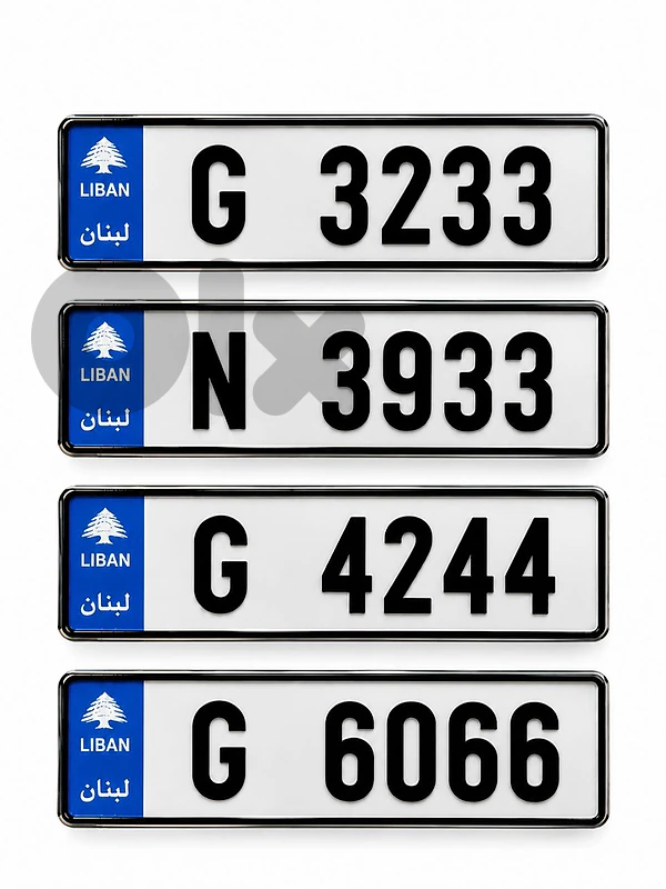 VIP PLATES
