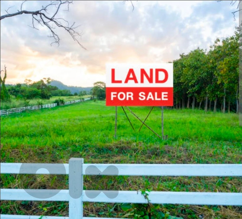Land for Sale in Bsalim.