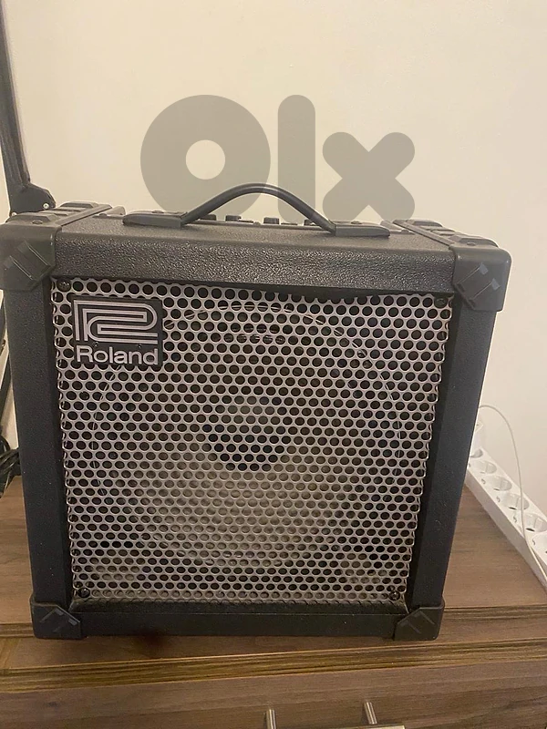 Roland Cube 30