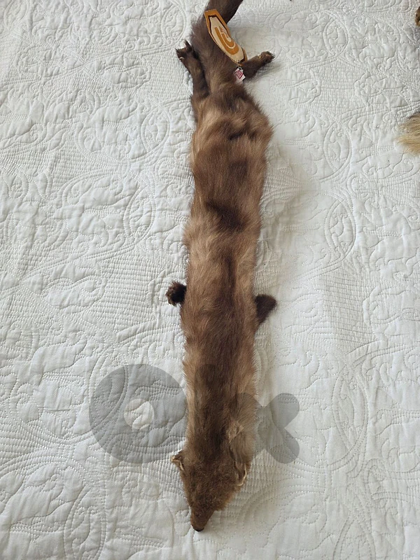3 pieces Renard Real Fox Fur