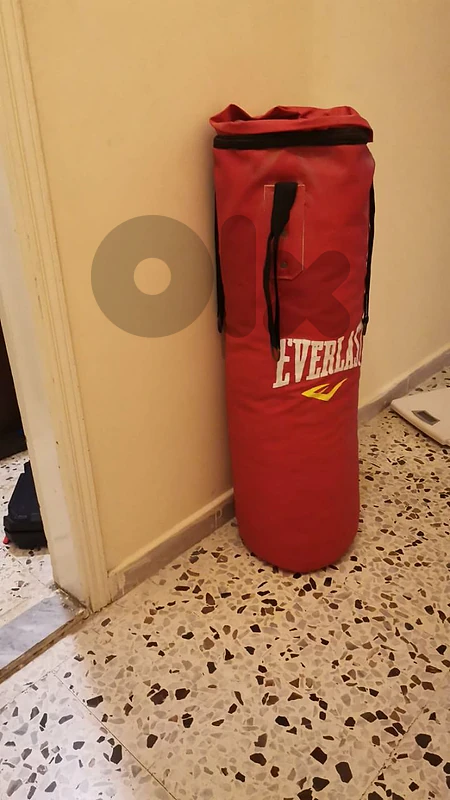 boxer