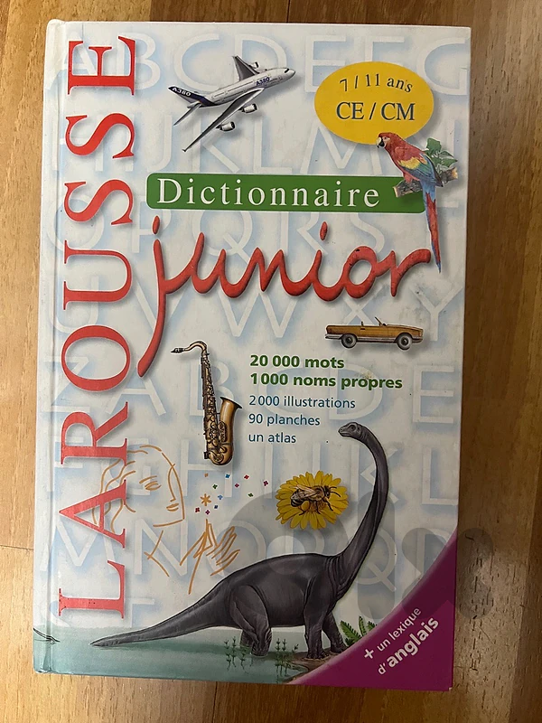 Larousse Junior Dictionnairre