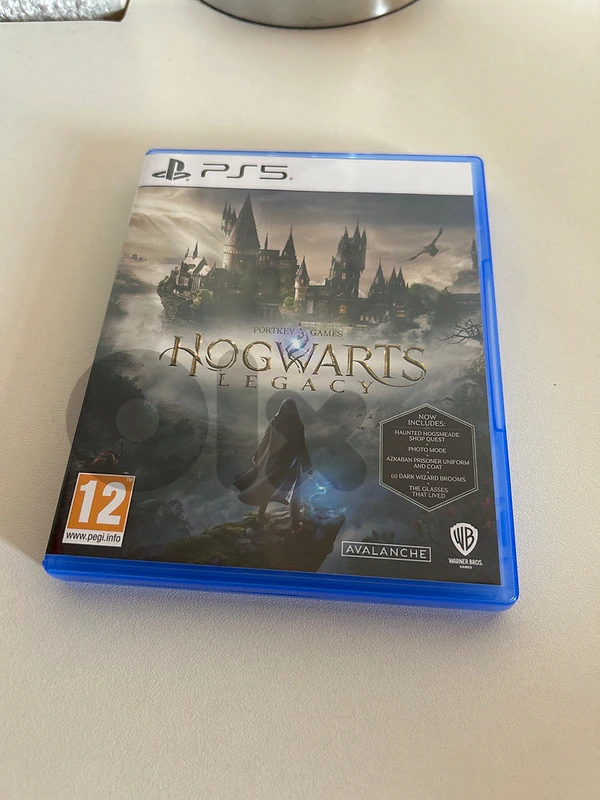 Hogwarts Legacy PS5 game