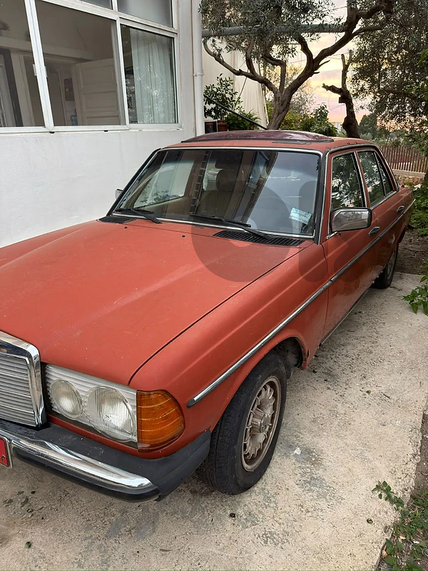 Mercedes-Benz  1977 230