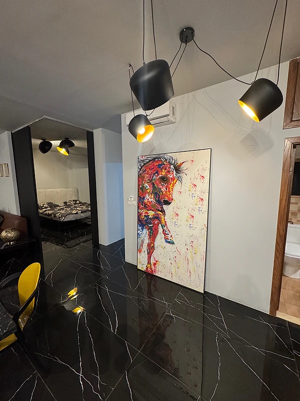 zalka apartment for rent