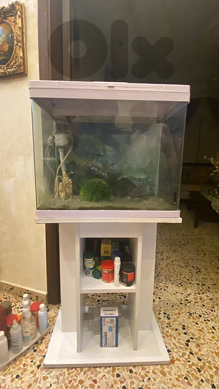 اكواريوم كامل مع غراضو