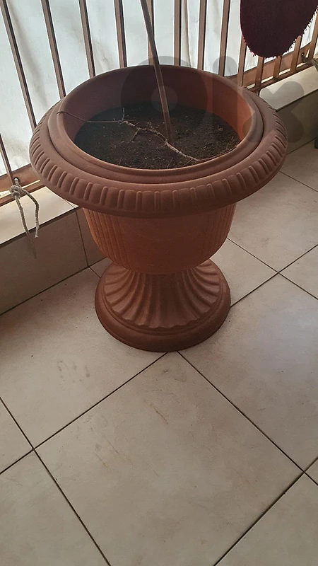 حوض زريعة