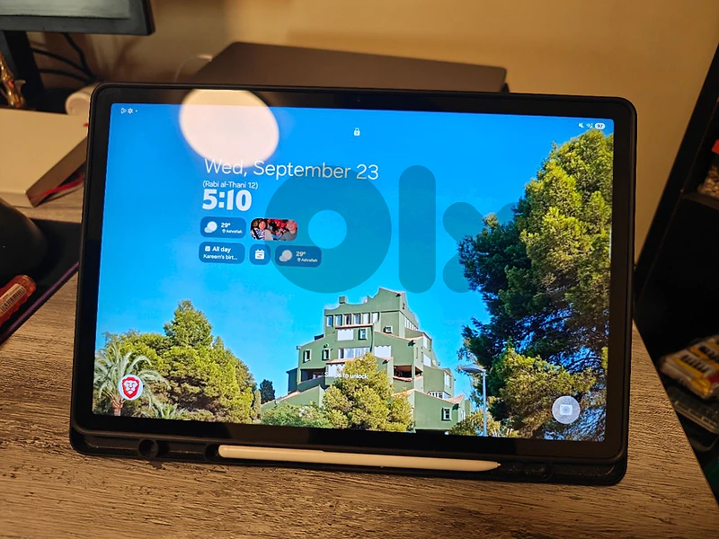 Samsung Galaxy Tab S9 FE+ (12GB RAM / 256GB)
