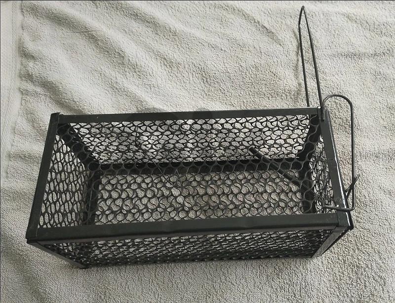 rat trap cage