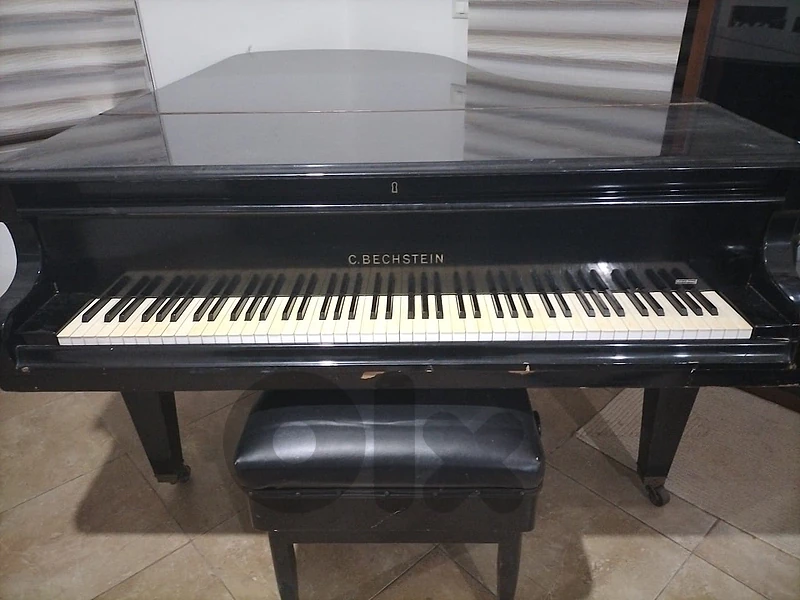 Original 1967 C. Bechstein Grand Piano (Berlin) – Serial #159138
