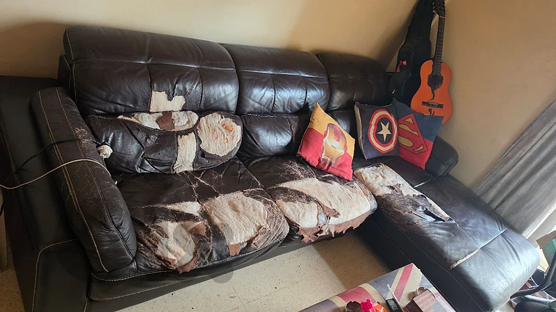 Leather L couch