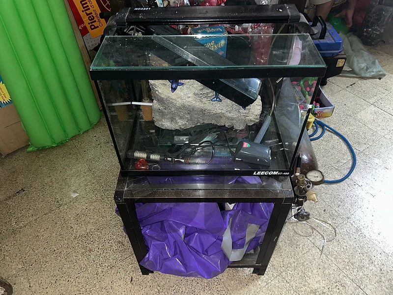 aquarium
