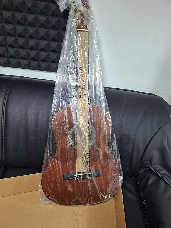 Echo Guitar