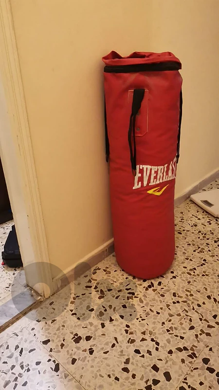 boxer