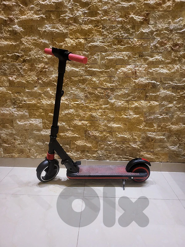 electric scooter