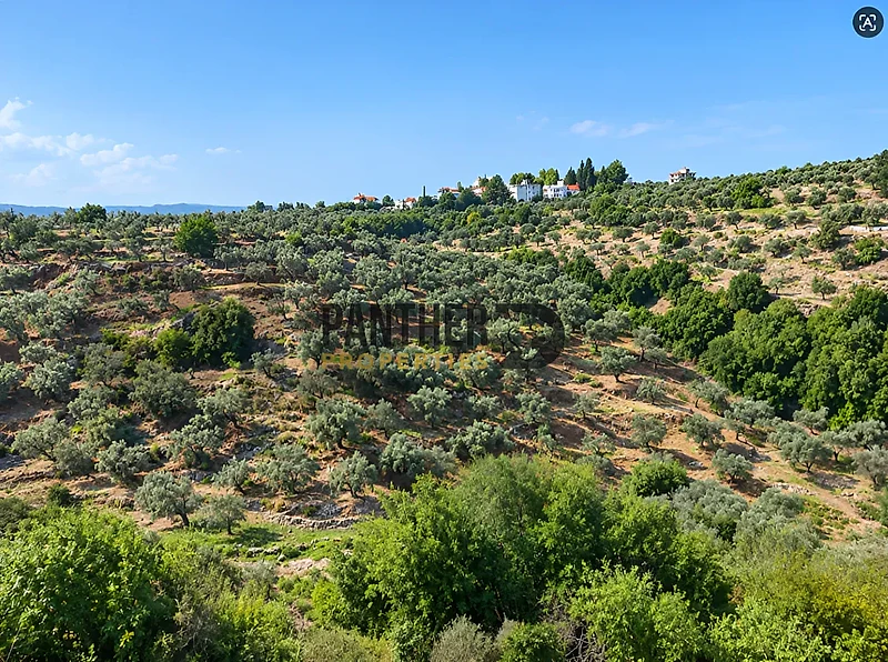 Land for sale in Zgharta Mazraat Ejbeh Ref#FR107