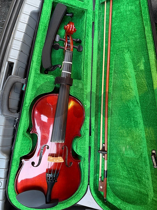 violin