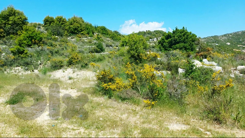 land for sale in Deirbella أرض للبيع في ديربللا