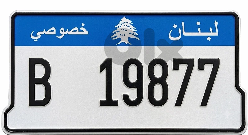 B 19877