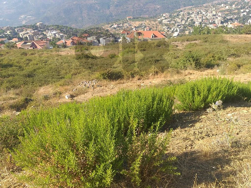 أرض للبيع في قبيع عاليه land for sale in aley