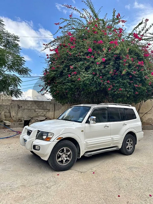 Mitsubishi Pajero 2001