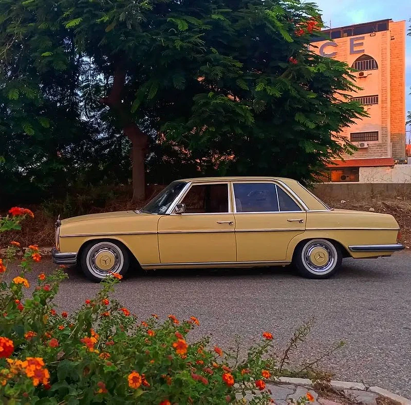 Mercedes Benz	1973