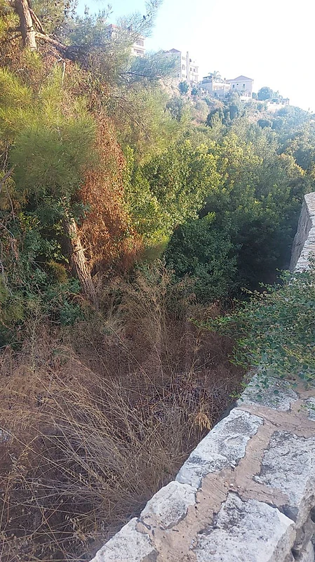 mechrif chouf