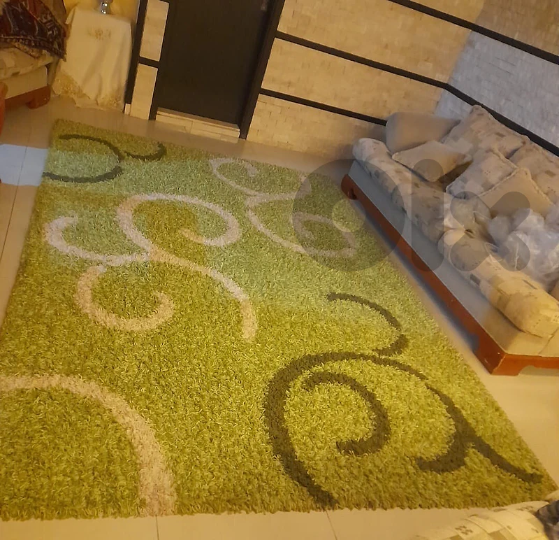 Carpet for living room