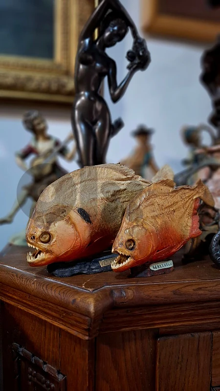 Authentic Vintage Taxidermy Red-Bellied Piranhas (Pair