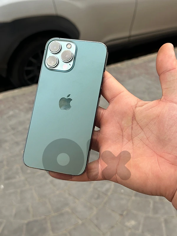 81691544
