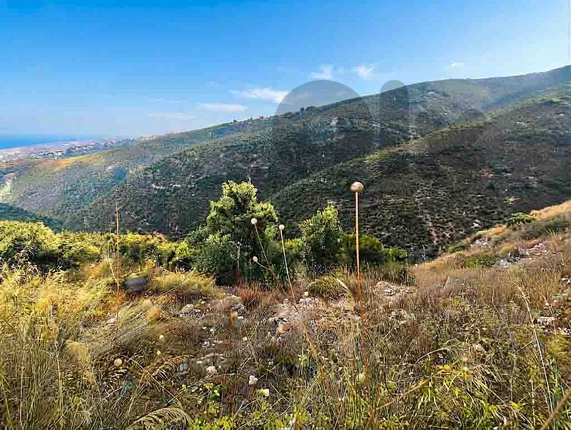 Land For Sale In Breij-Jbeil | أرض للبيع | PLS 26678