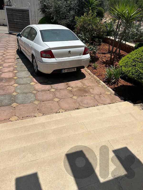 Peugeot 407 2011 2011