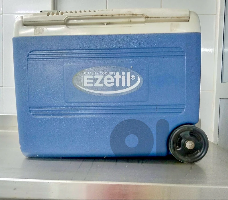 Large portable electric cooler
