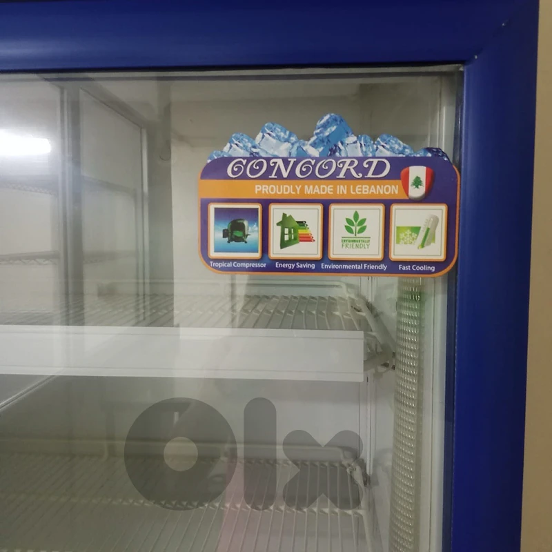 Commercial Glass-Door Display Fridge