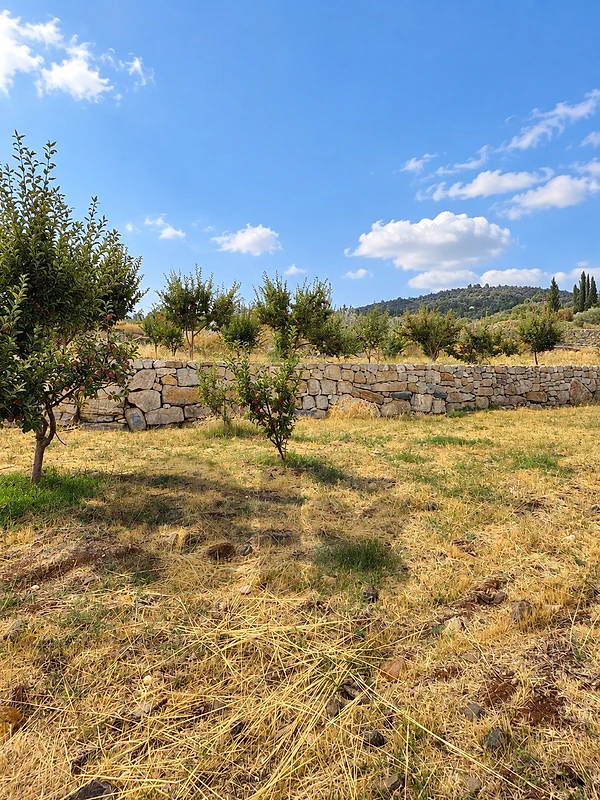 land For Sale In Laklouk أرض في اللقلوق للبيع land For Sale In Laklouk أرض في اللقلوق للبيع