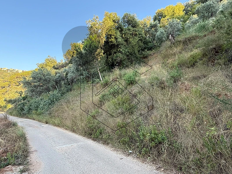 GM110MZ Land for sale in Dmit - Chouf أرض للبيع في دميت - الشوف
